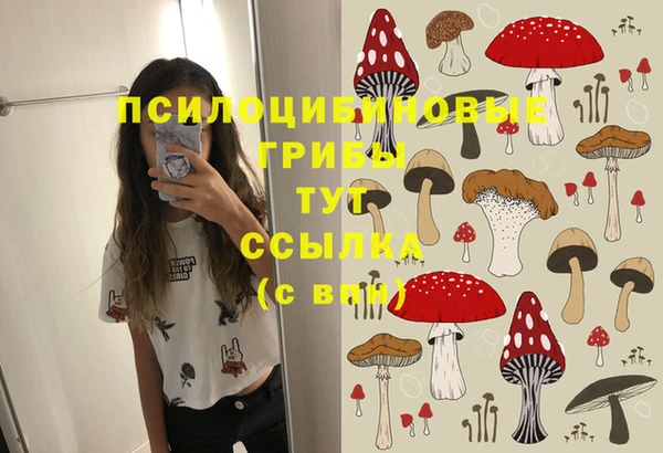 a pvp Приозерск