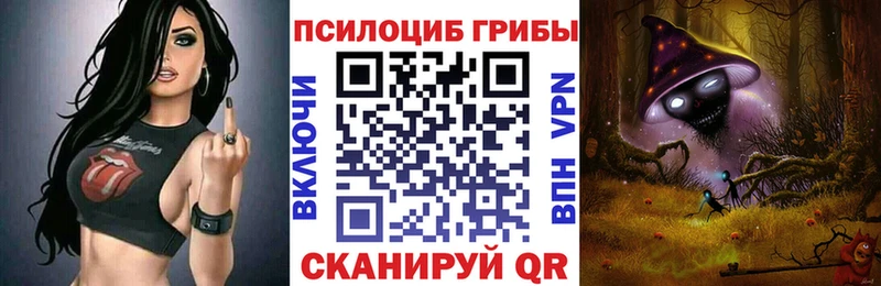 Галлюциногенные грибы Psilocybine cubensis  Берёзовка 