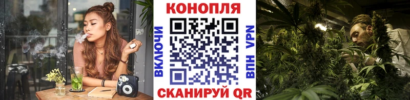 Бошки Шишки план  Берёзовка 